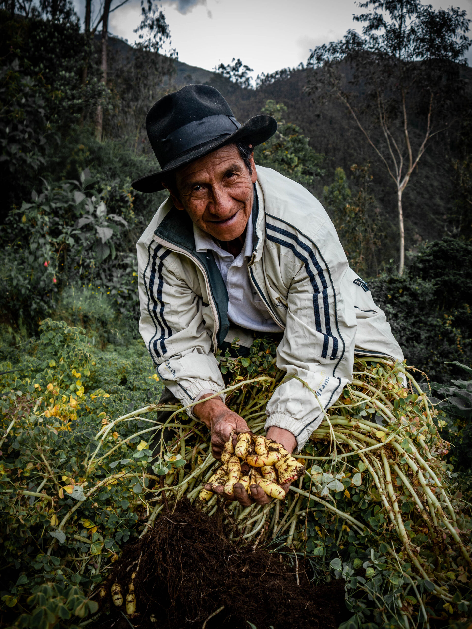 Campesino santandereano